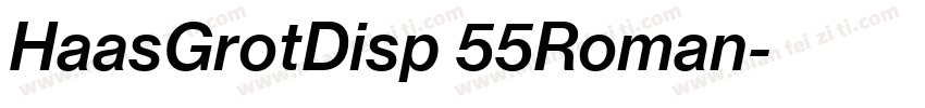 HaasGrotDisp 55Roman字体转换